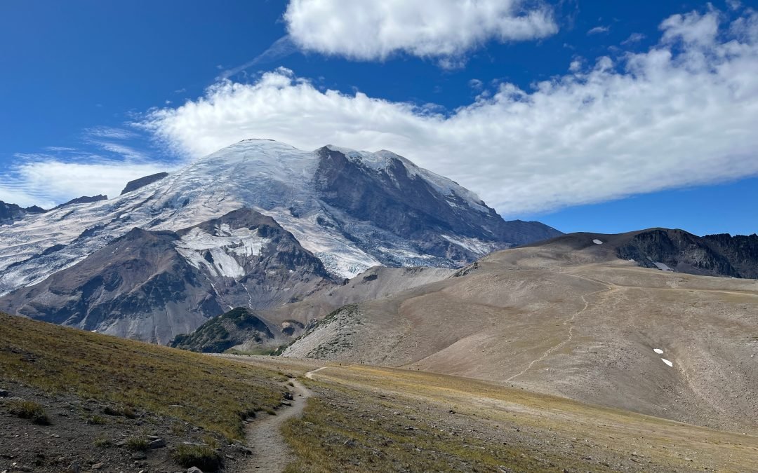 Navigating the Leadership Odyssey: A Comprehensive Transition from Manager to Leader